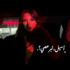 aseel_.31