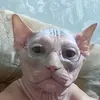 ale_edit_n_stuff