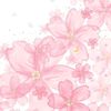 yeili8527