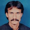 muharam.thebo