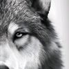 juan_boy01