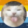 amy_the_fish1