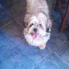 joseluisangua