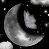 princessfatema16