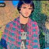 waheed.birahoei