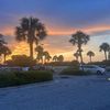 grayce653