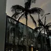 anut_342