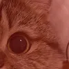 sash_4ka