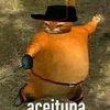 gatito_239
