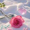 user2698129873904