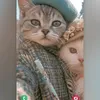 catmanfluffyhead