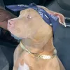 makavelitupac7
