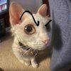 karmed_1