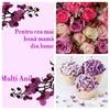 marina.ab50