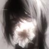 isa_2013_a