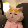 urgirl_465