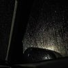 saysha_980