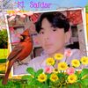 muhammad.safdar8477