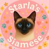 Starla’s Siamese