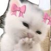 mi_chaw_sein