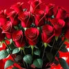almas.ali497