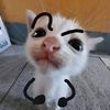 oemjinadd