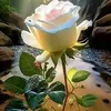 user4056111954812