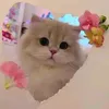 sweetlyy930