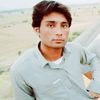 wadan.gul1
