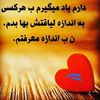 mohammad.zarifi17