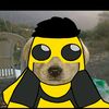 ropoxd7