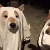mhuydzaiiii