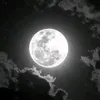 o301o