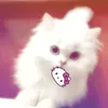 bich.phuong2110