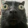 ahhh_232