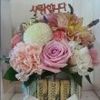 user2920096249173