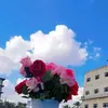max_1.z