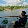 rennz031