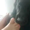 karohk_
