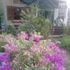 trinh.nguyen5490