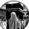dado_798