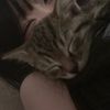 michu_374