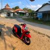alfi_mandung