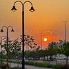 iamraed6