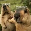 jangchang4