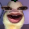 nhiapot