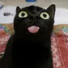 iatyt2