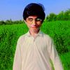 mahmood89617