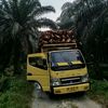 Putra mandiri