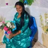 denizediaconisa